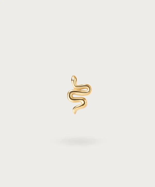 "Snake Tragus Piercing on white background"