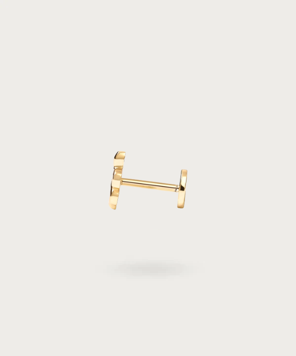"Close-up view of the Snake Tragus Piercing"