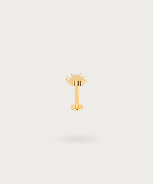 flat piercing gold titanium and zircons