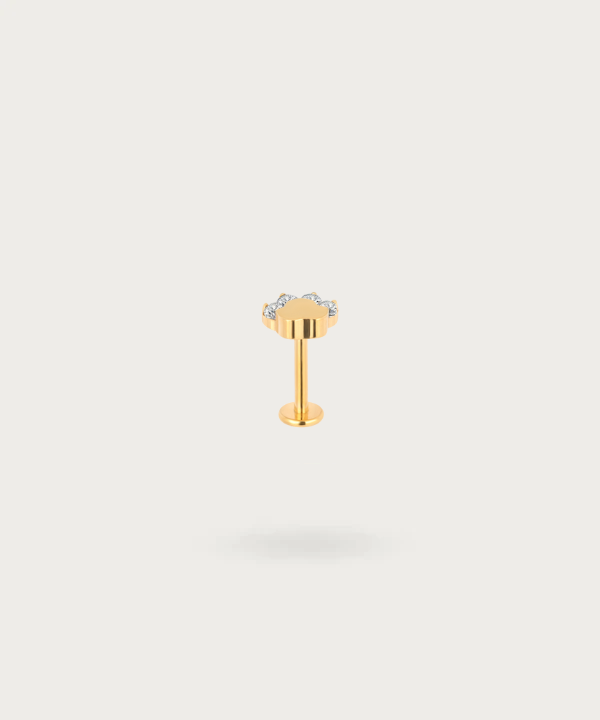flat piercing gold titanium