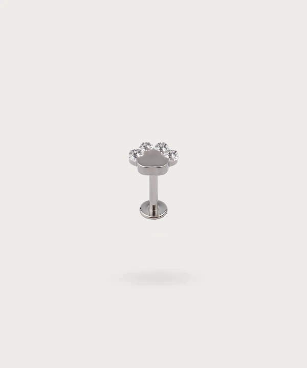 flat piercing silver titanium