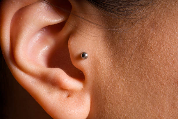 Everything About the Tragus Piercing (Without Pain or Tears!)