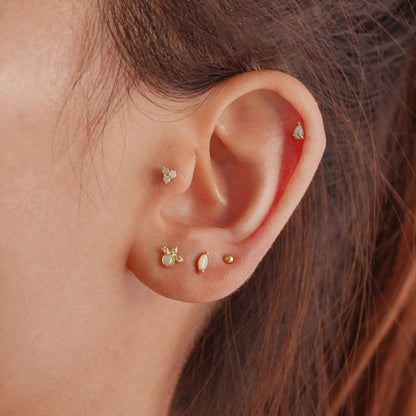 Matiana Conch Earring for an Elegant Look