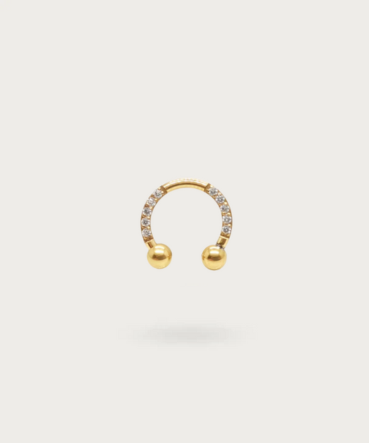 gold titanium horseshoe Rook piercing
