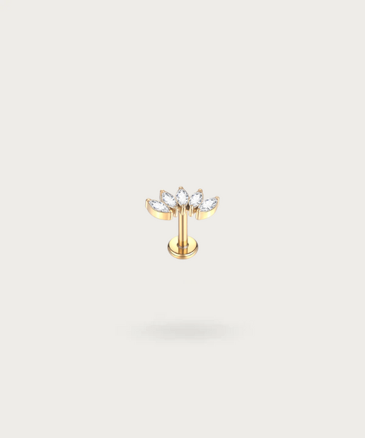 "Gold Plated Zircon Conch Piercing in a sophisticated look."