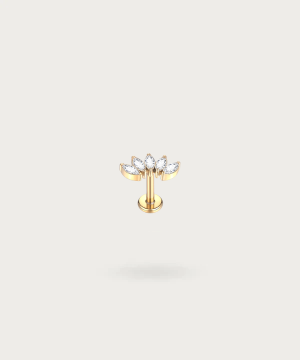 "Gold Plated Zircon Helix Piercing in a sophisticated look."