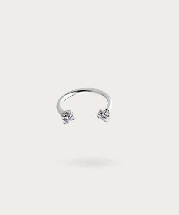 Modern and sophisticated design of Yakira Rook Piercing