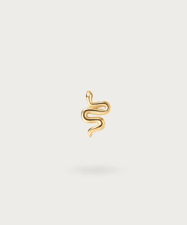 "Snake Ear Piercing on white background"